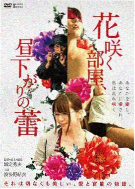 青柠影院电视剧资讯
